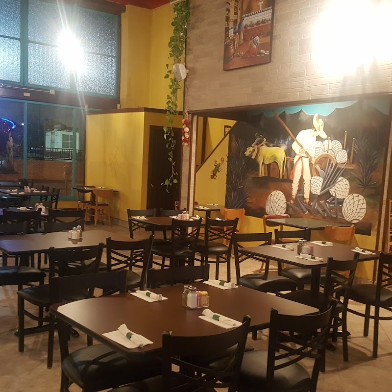 Cantina Cinco De Mayo | Mexican Restaurant #3