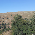 Photo n°1 de l'avis de Enrico.i fait le 25/08/2018 à 21:15 sur le  Bar Ristorante Pizzeria Su Filariu ( m. 1370 s.l.m.) à Desulo