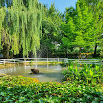 Photo n°1 de l'avis de Francesco.c fait le 13/06/2021 à 16:32 sur le  Osteria Alla Sicilia Casa Vian à Dosson