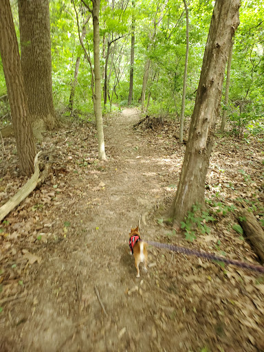 Tourist Attraction «Indiana Caverns», reviews and photos, 1267 Green Acres Dr SW, Corydon, IN 47112, USA