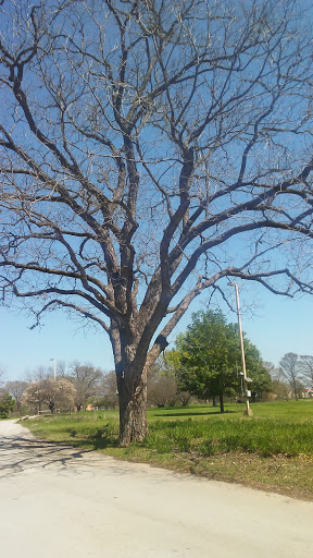 Non-Profit Organization «The Meadows Center for Water and the Environment», reviews and photos, 201 San Marcos Springs Dr, San Marcos, TX 78666, USA