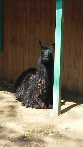 Zoo «3 Palms Zoo & Education Center», reviews and photos, 924 Blackbird Forest Rd, Clayton, DE 19938, USA