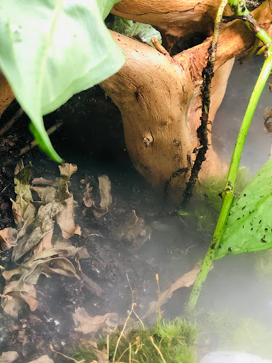 Pet Store «A Family Pet Center», reviews and photos, 6230 N Lockwood Ridge Rd, Sarasota, FL 34243, USA