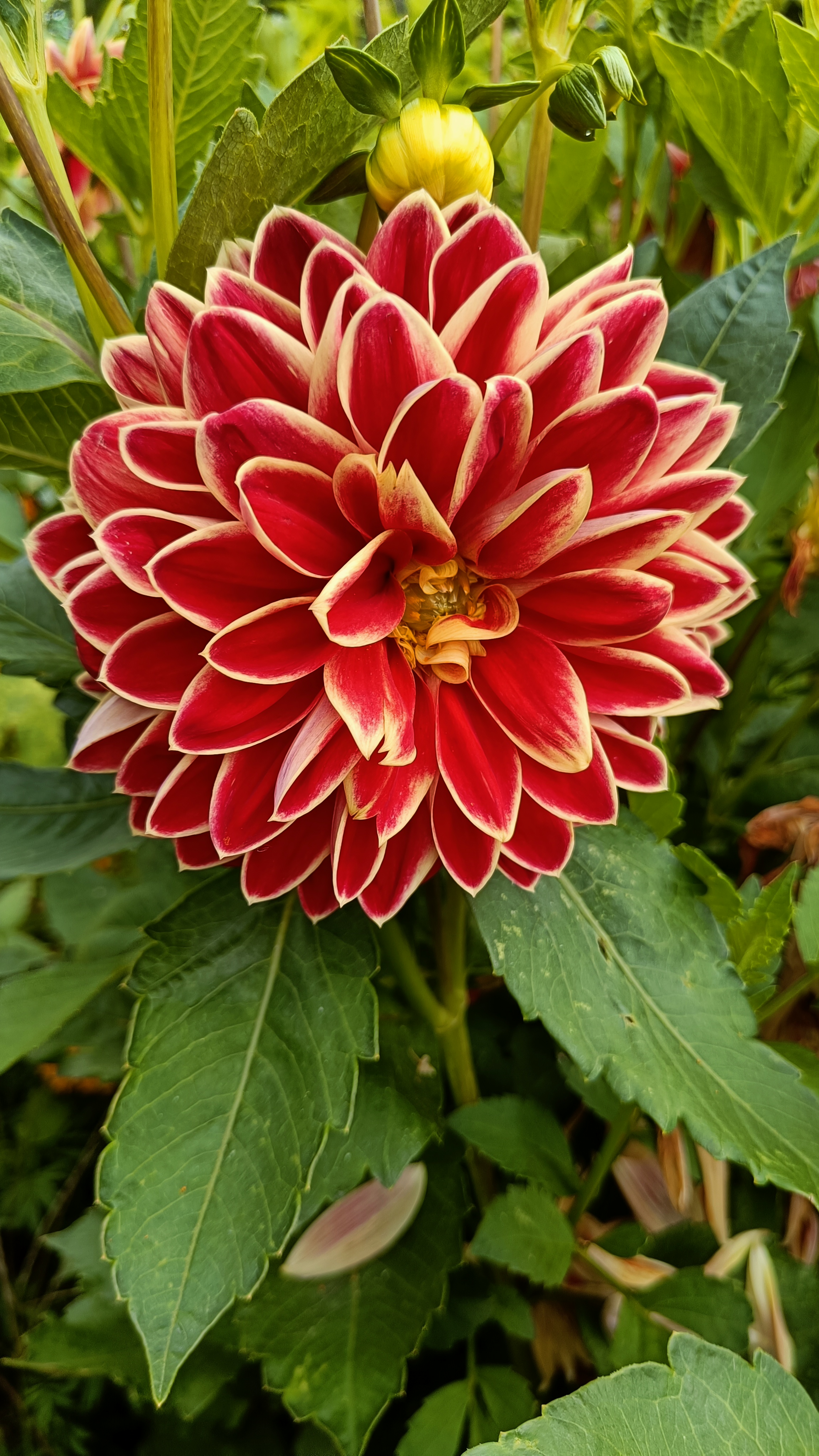 Photo n° 34 de l'avis de Eliot.o fait le 28/07/2023 à 16:35