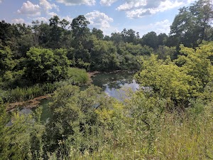 Bluff Spring Fen - photo 2