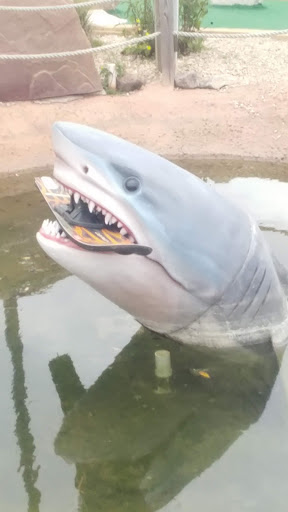 Amusement Center «Starland Sports & Fun Park», reviews and photos, 645 Washington St, Hanover, MA 02339, USA