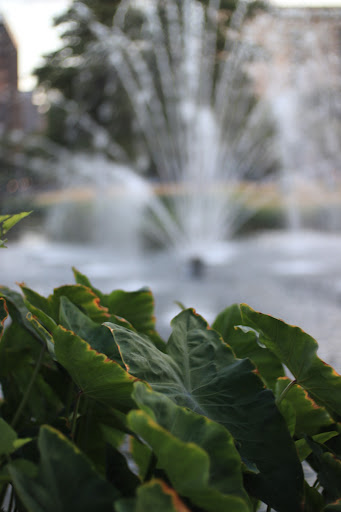 Park «Robert E Lee Park», reviews and photos, 3333 Turtle Creek Blvd, Dallas, TX 75219, USA