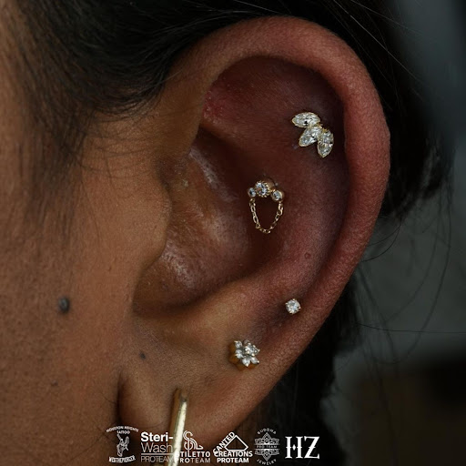 Explore robin tattoo ideas, creative tattoo ideas in Houston, available at Houston Heights Tattoo & Piercing