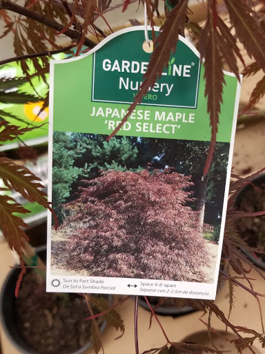 Supermarket «ALDI», reviews and photos, 1349 McFarland Blvd E, Tuscaloosa, AL 35404, USA