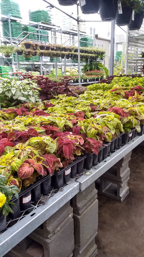 Home Improvement Store «The Home Depot», reviews and photos, 551 President Pl, Smyrna, TN 37167, USA