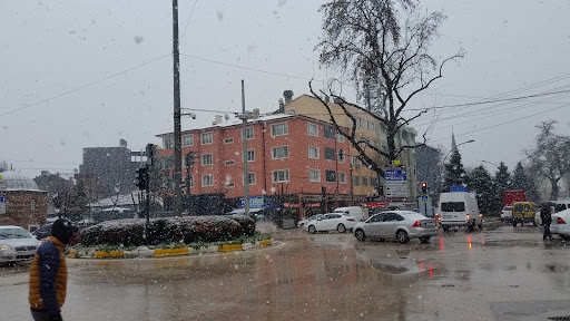 Çilekler Börek Salonu