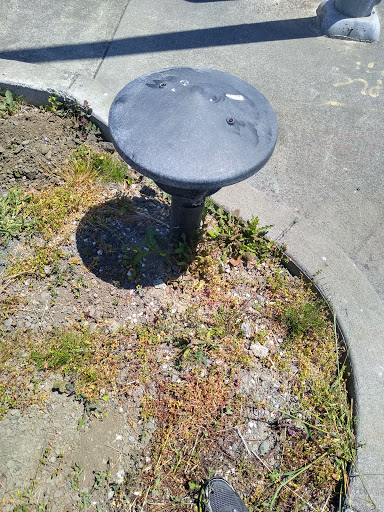 Shopping Mall «Valley West Shopping Center», reviews and photos, 5000 Valley W Blvd, Arcata, CA 95521, USA