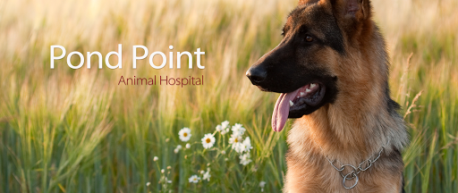 Pond Point Animal Hospital