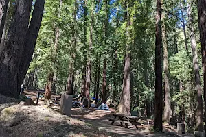 Sanborn County Park image