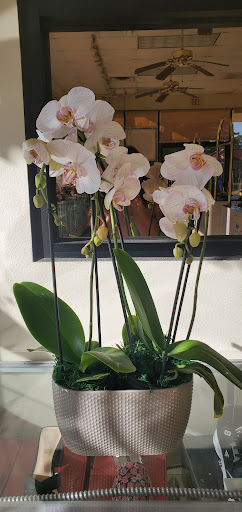 Dry Cleaner «Sterling Dry Clean», reviews and photos, 13011 Grant Rd, Cypress, TX 77429, USA