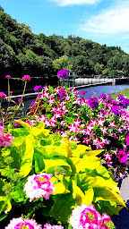 Photo n°21 de Crêperie le Chalet à Pluméliau ()