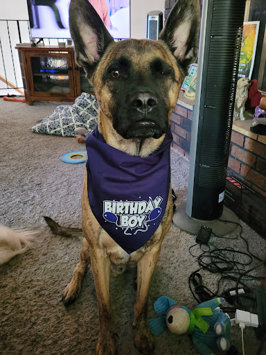 Pet Supply Store «Natural Pet Center», reviews and photos, 3037 13th Ave S, Fargo, ND 58103, USA