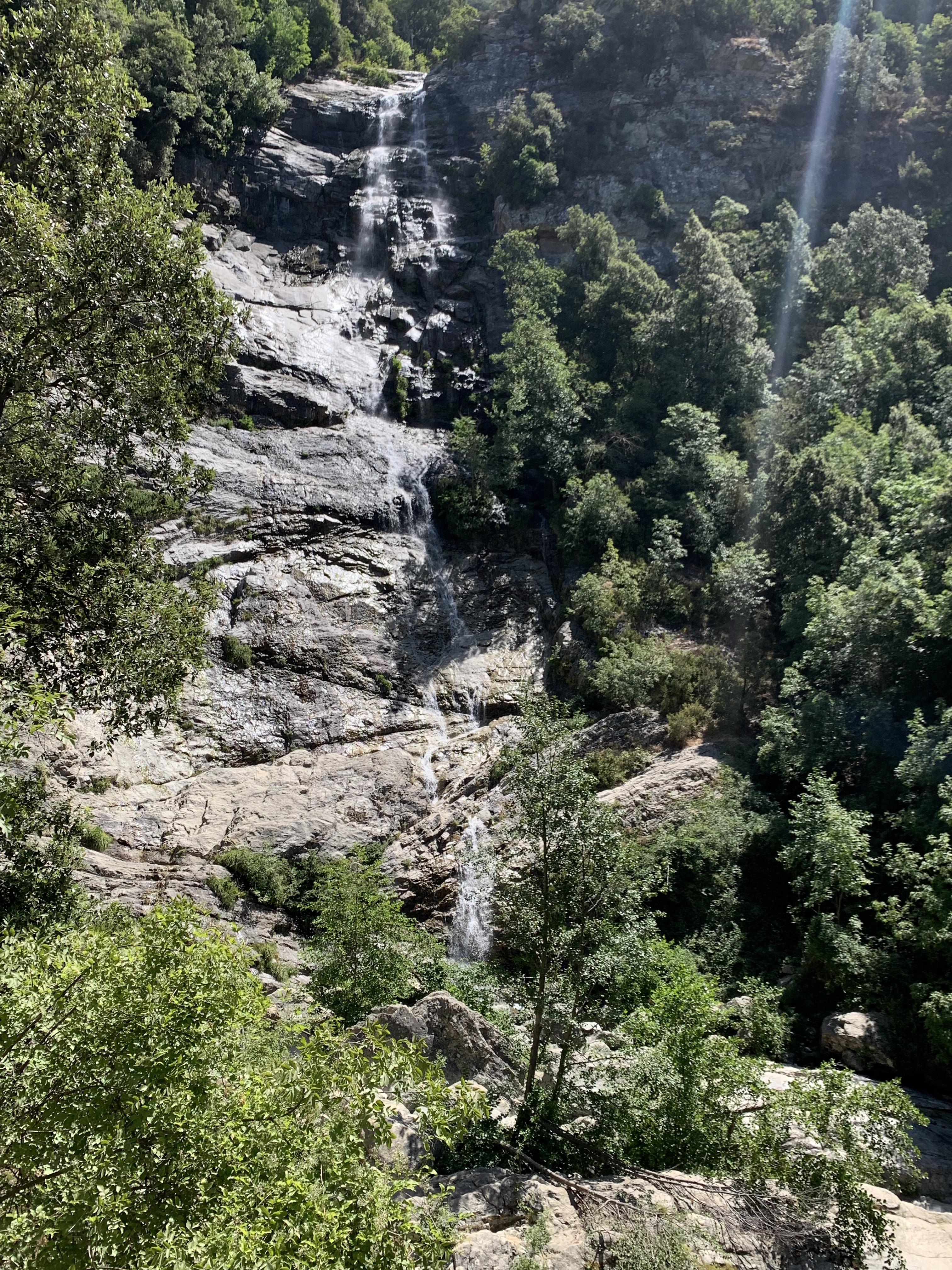 Photo n° 1 de l'avis de Nat.o fait le 09/08/2023 à 20:42