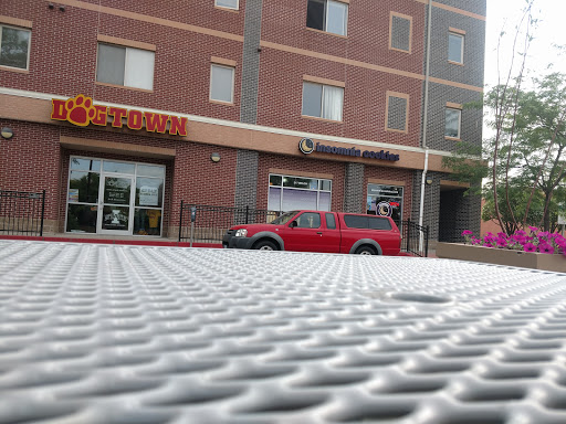 Cookie Shop «Insomnia Cookies», reviews and photos, 217 Welch Ave, Ames, IA 50014, USA