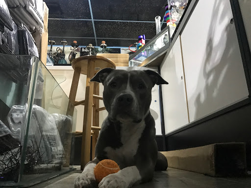 Tobacco Shop «Smokin Spades Premier Smoke and Vapor Shop», reviews and photos, 11180 W Flagler St #7, Miami, FL 33174, USA