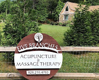 Five Branches Acupuncture and Massage Therapy - Photo 2 - Car repair in Asheville, NC, Asheville