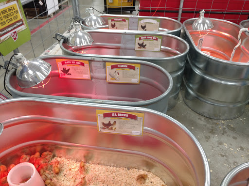 Home Improvement Store «Tractor Supply Co.», reviews and photos, 2250 Homer Rd, Commerce, GA 30529, USA