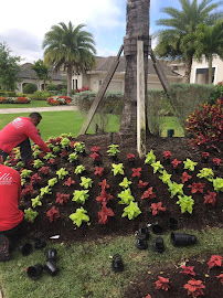 Bella Lawn Maintenance, LLC - Photo 7 - Car repair in Naples, FL, Bonita Springs
