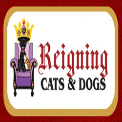 Pet Store «Reigning Cats & Dogs», reviews and photos, 219 E Davis St, Culpeper, VA 22701, USA