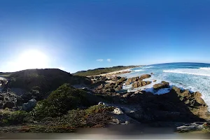 Tanegashima image