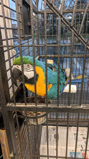 Pet Store «Delhi Pet Center», reviews and photos, 5665 Rapid Run Rd, Cincinnati, OH 45238, USA