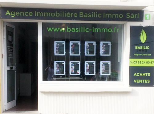 Agence immobilière Basilic Immo Lexy