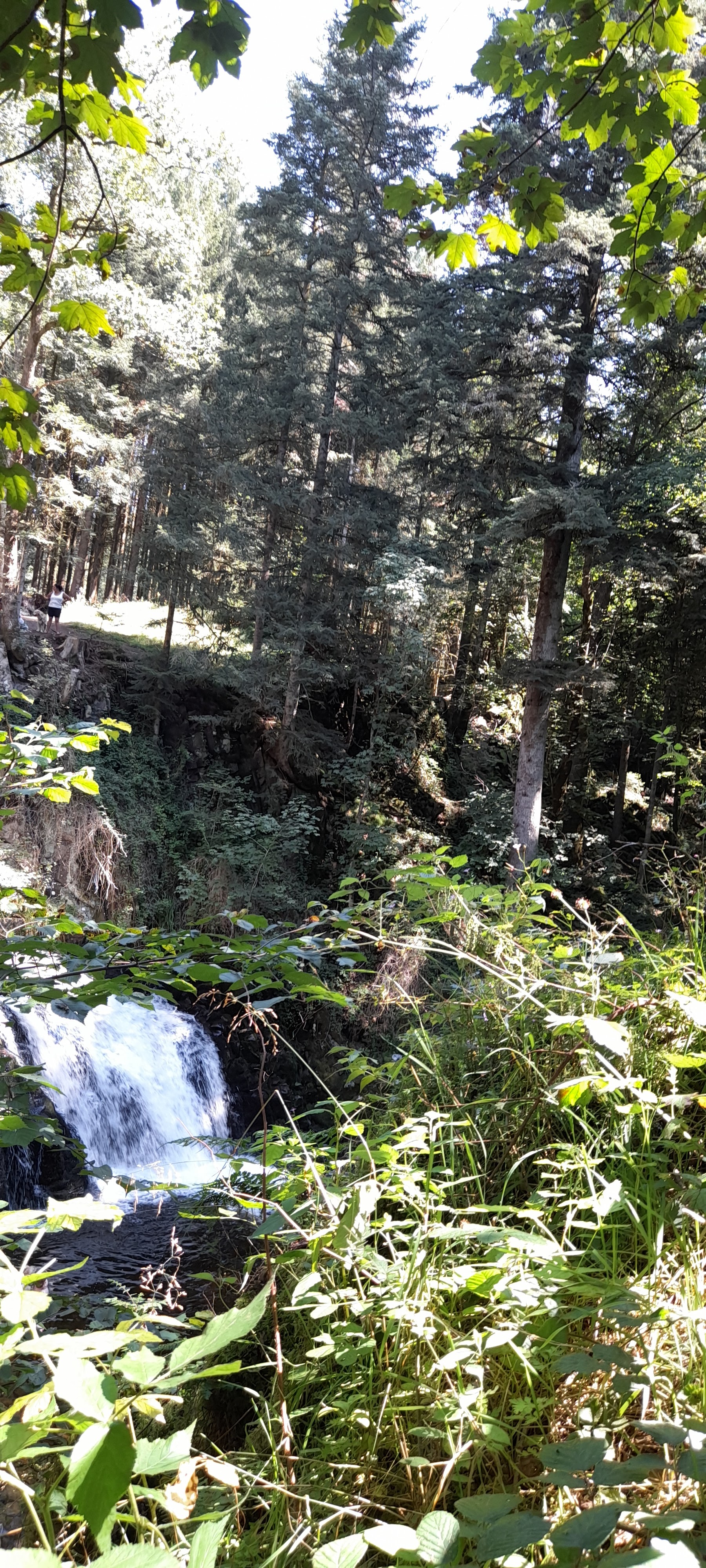 Photo n° 3 de l'avis de Philippe.e fait le 11/08/2021 à 14:59