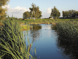 Photo n°8 de Golf du Cambrésis à Niergnies ()