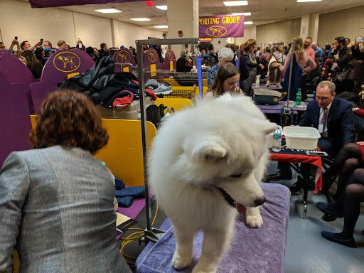 Arena «Madison Square Garden», reviews and photos, 4 Pennsylvania Plaza, New York, NY 10001, USA