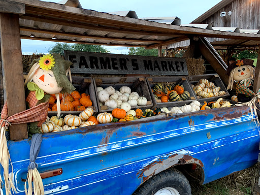 Pumpkin patch Irving