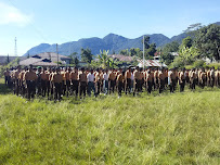 Foto SMK  Bina Kusuma Ruteng, Kabupaten Manggarai