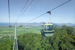 Skyrail Rainforest Cableway image