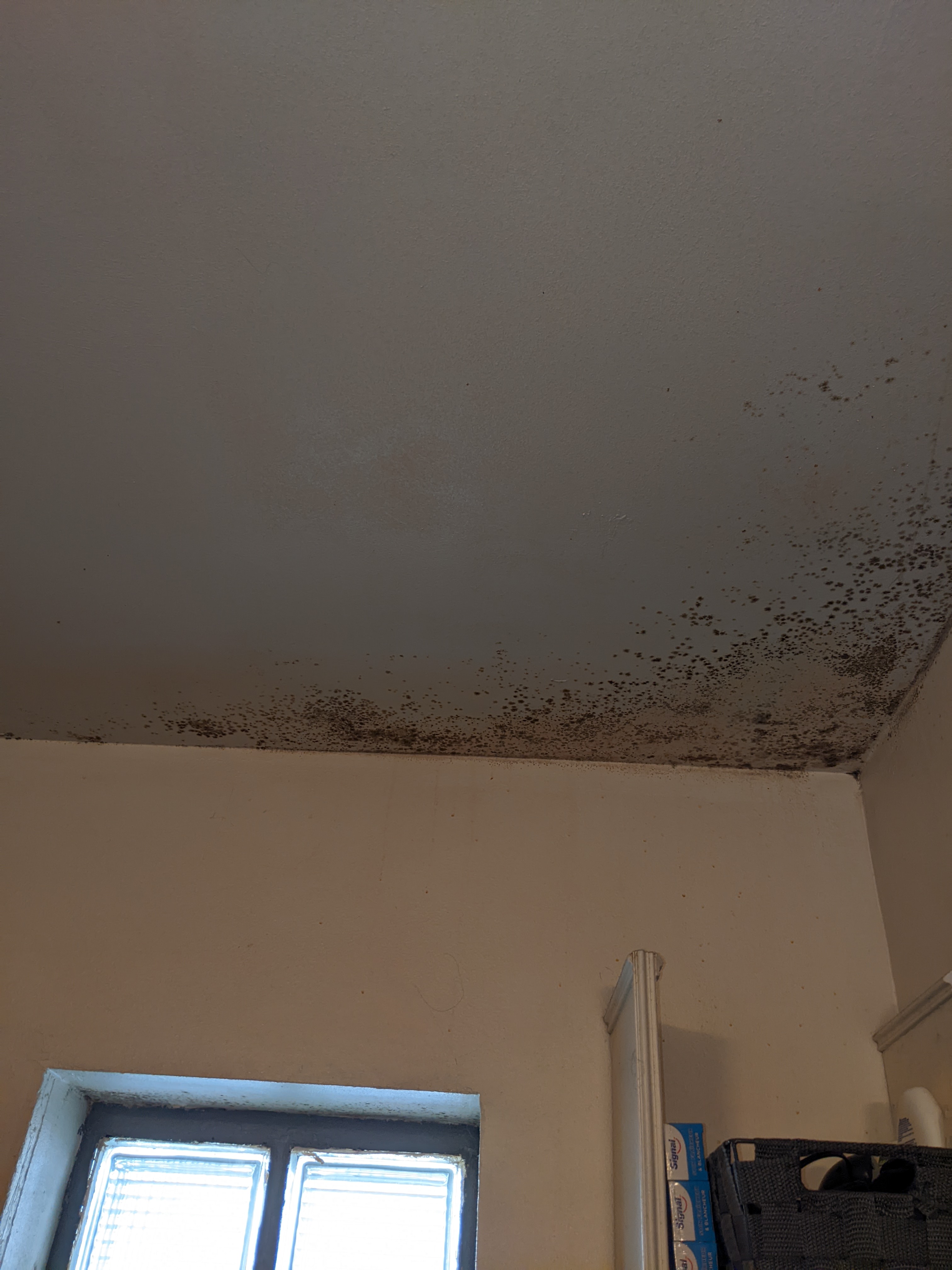 Photo n° 2 de l'avis de Frédérique.e fait le 19/09/2023 à 10:28