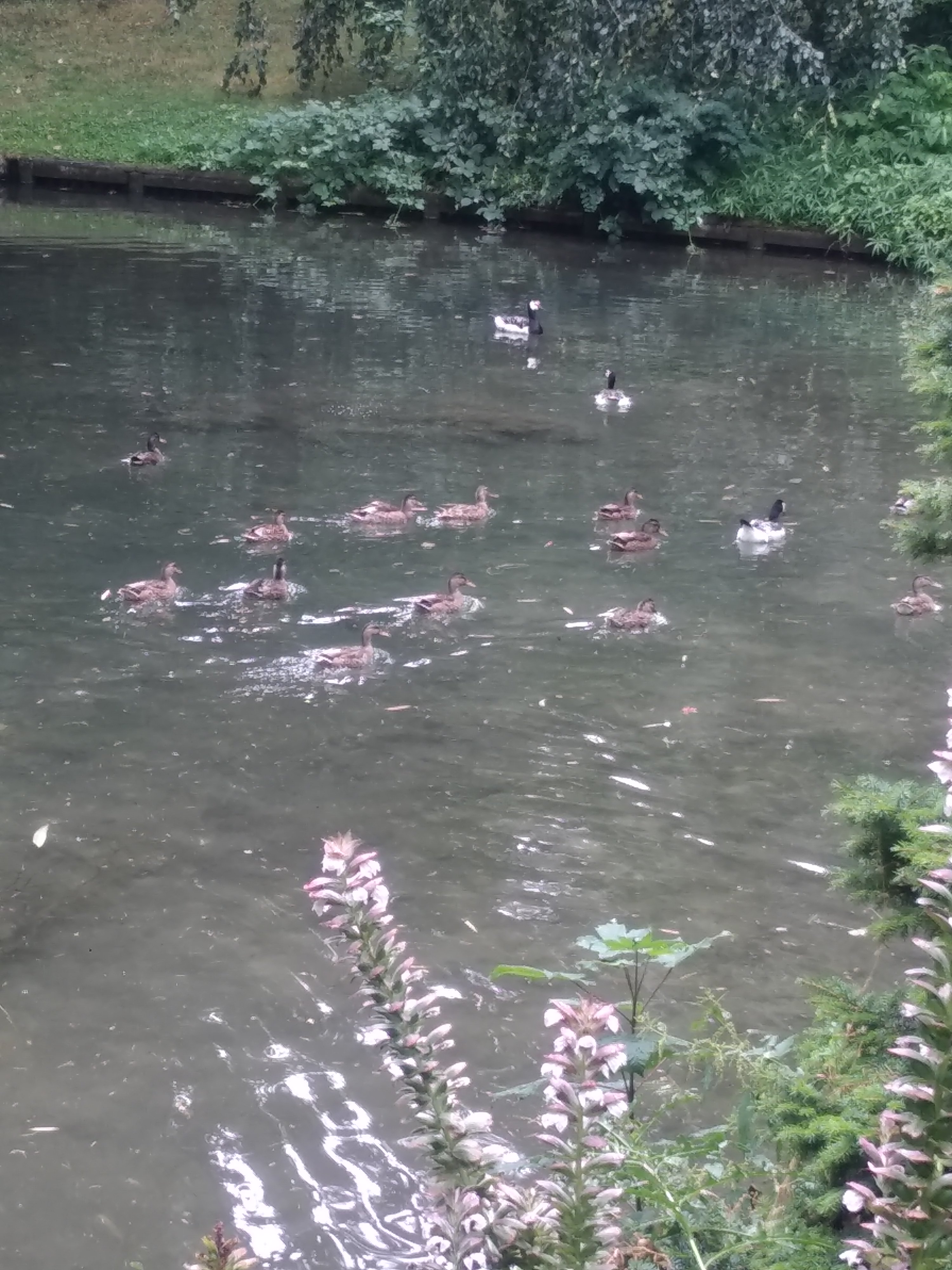 Photo n° 13 de l'avis de Céline.u fait le 28/07/2019 à 16:18