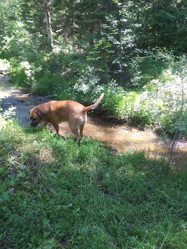 Photo of Energy Capital Plumbing & Construction