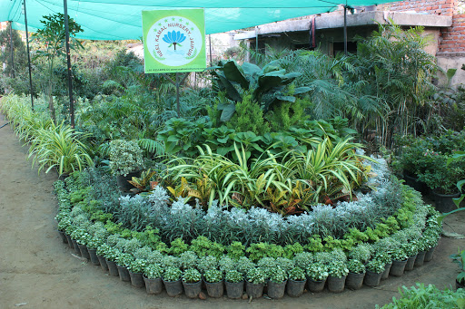 Neel Kamal Nursery : Indoor Outdoor Flower & Plant Nursery in Jaipur