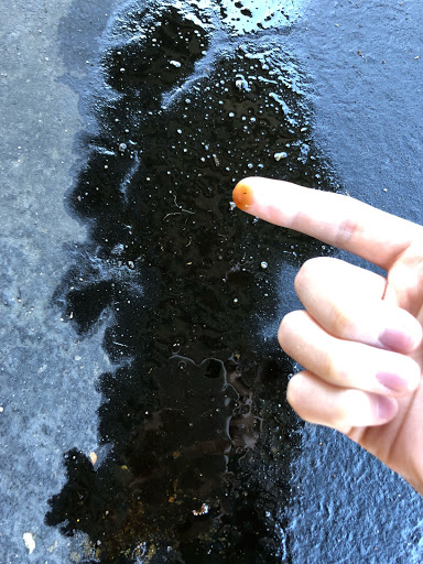 Nissan Dealer «Autocom Nissan East Bay», reviews and photos, 1152 Marina Blvd, San Leandro, CA 94577, USA