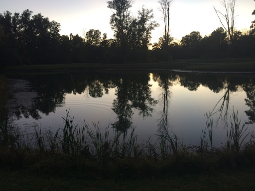 Golf Course «Tri County Golf Ranch», reviews and photos, 455 Tri County Pkwy, Cincinnati, OH 45246, USA