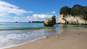 Cathedral Cove Scenic Cruises