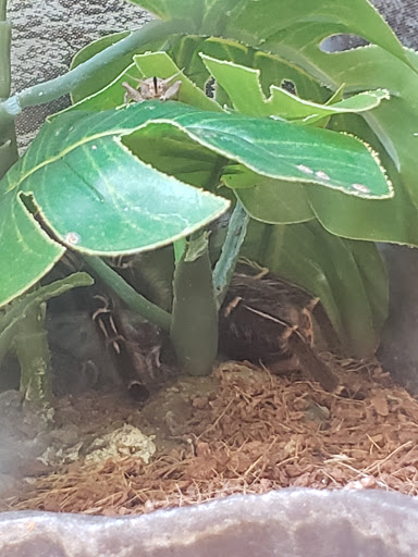 Pet Supply Store «Petco Animal Supplies», reviews and photos, 8164 Mall Pkwy, Lithonia, GA 30038, USA