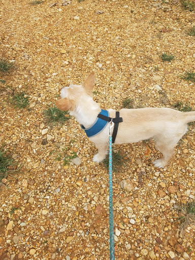 Battle Site «Fort Donelson National Battlefield», reviews and photos, 120 Lock D Rd, Dover, TN 37058, USA