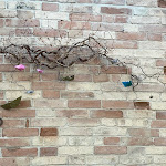 Photo n°14 de l'avis de danya.a fait le 23/12/2021 à 12:34 sur le  BR1 SUITES & RISTORANTE Specialità pesce | hotellerie à Montesilvano Colle