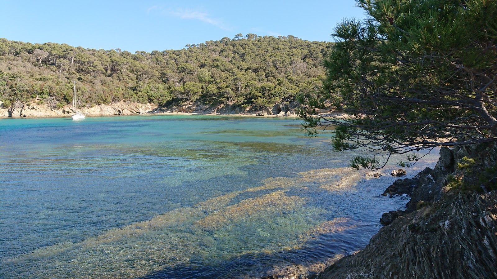Beach of Alycastre'in fotoğrafı uçurumlarla desteklenmiş