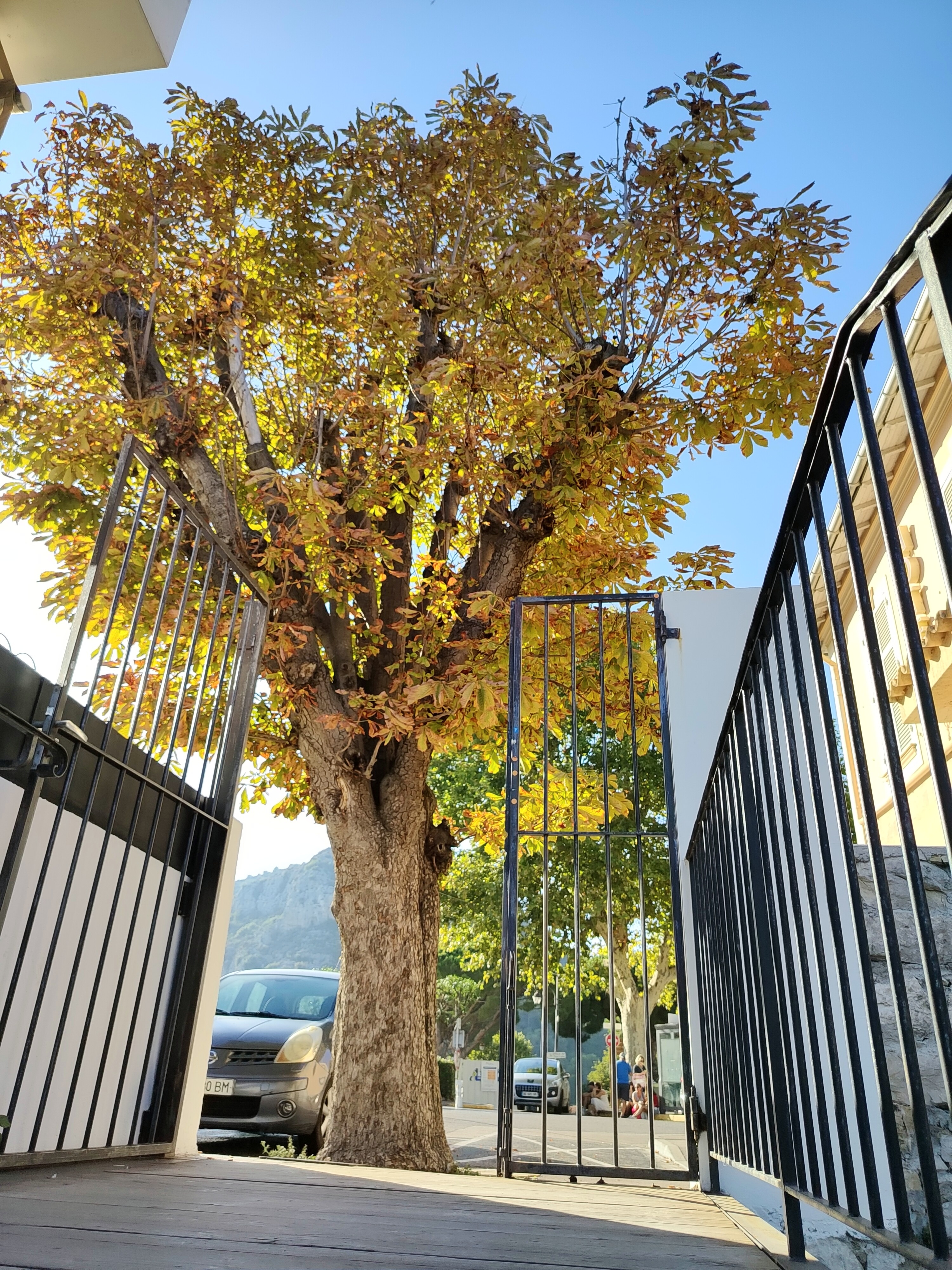 Photo n° 18 de l'avis de STONE. fait le 03/11/2023 à 04:38