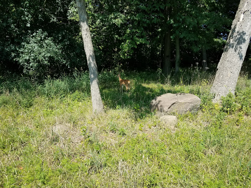 Golf Course «New Berlin Hills Golf Course», reviews and photos, 13175 W Graham St, New Berlin, WI 53151, USA